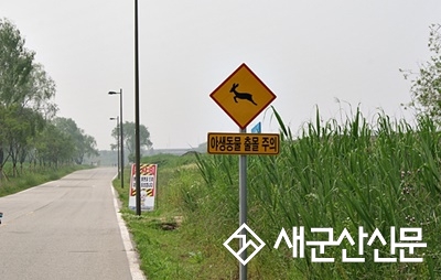 도로 위 '로드킬 현장'사라진다