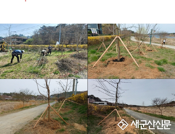 국제라이온스협회 군산연합회, 은파호수공원에 수목 기증