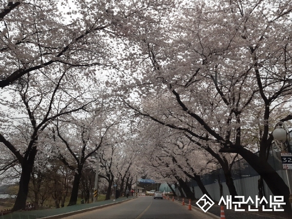 군산시, 사회적 거리두기 강도 조절