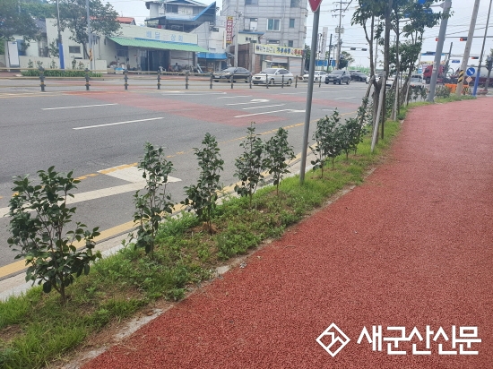 해신동, 나무심기 가로환경정비 