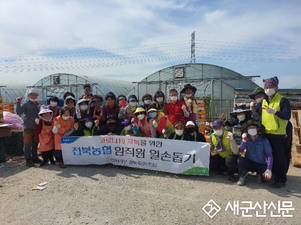 농협 군산시지부, 수확철 농촌 일손돕기