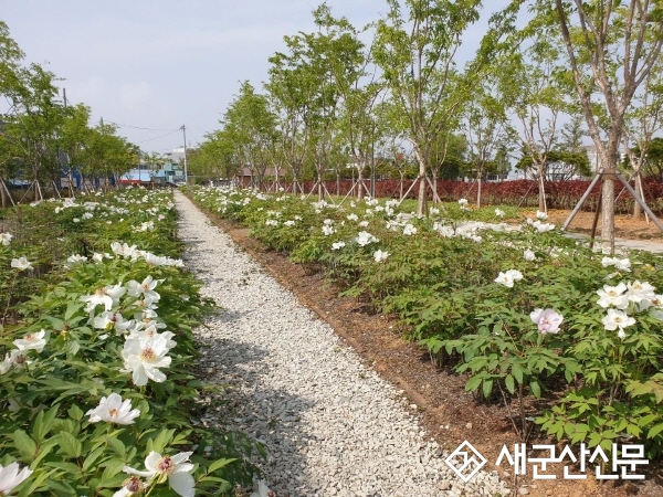 미래의 숲 500만 그루 나무심기 순항