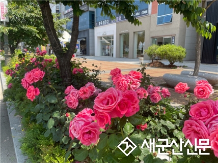 시민이 함께한 시민헌수 거리 