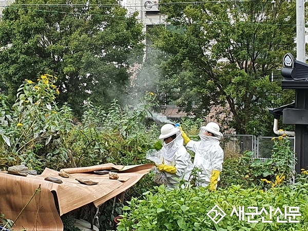 여름철 벌 쏘임 사고 주의 당부