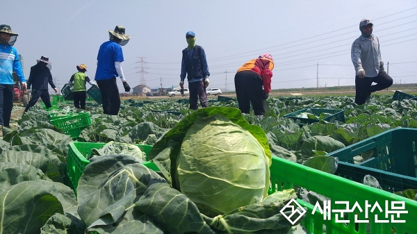 군산농기센터, 지역특화작목육성 최우수 기관 선정