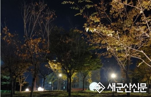 신흥 도시숲 야간경관 조성 2차사업 실시