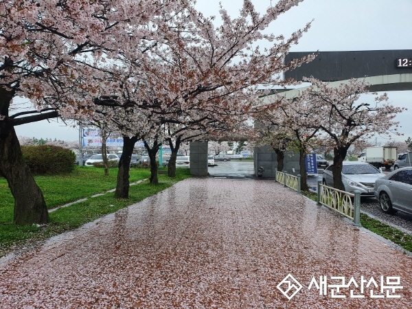 월명종합경기장 내 차 없는 거리 운영