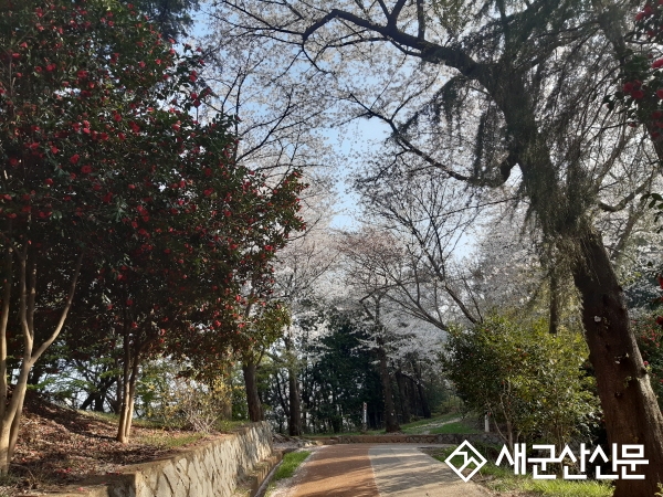 월명공원 숲 해설 프로그램 운영