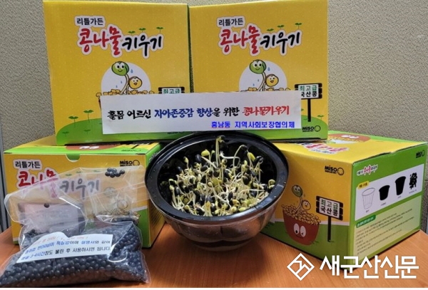 흥남동, 반려식물 콩나물 키우기 호응