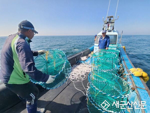 갑오징어 산란·서식장 조성, 사업 2년 차 본격화