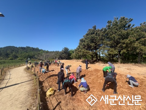 군산시 옥산면, 청암산 꽃무릇 조성사업 추진