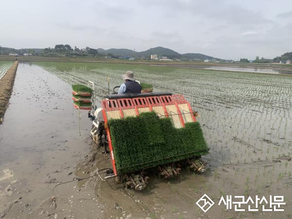 영농철 맞아 육묘 알선 창구 운영