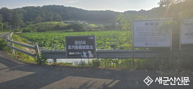 (뉴스 초점) 군산시의 유기동물보호센터 외면, ‘왜 그럴까’