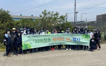 군산대, 호남검역본부 외래잡초 제거 행사