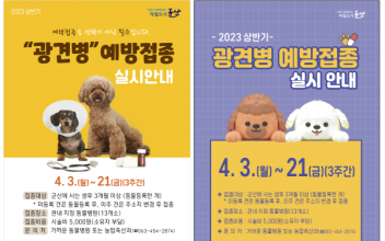 상반기 광견병 예방접종 실시