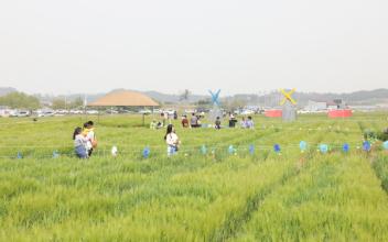 ‘가정의 달’ 제18회 꽁당보리축제 개최