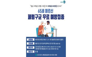 65세 이상 폐렴구균 예방접종