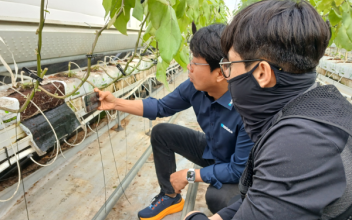 군산시, 청년 농업인 경영실습 스마트팜 임차인 모집