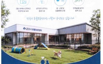 (톡톡 군산) 유기견 관리 10년 성과, 크게 후퇴한 군산시  공공형 동물보호센터, 고양이 대책 실종(?)